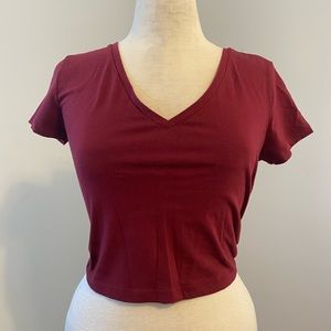 Burgundy Wild Fable Crop Top